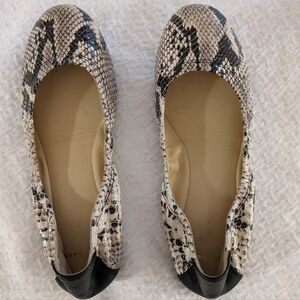 Cole Haan snakeskin ballet flats